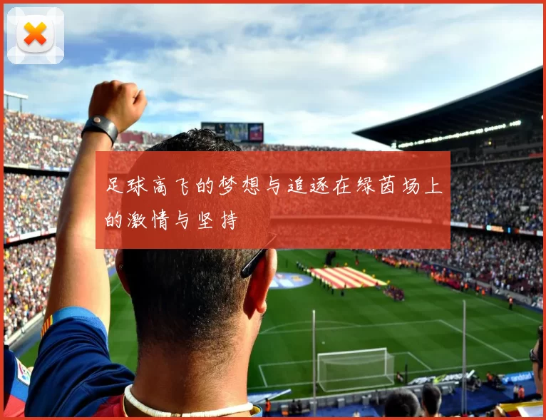 足球高飞的梦想与追逐在绿茵场上的激情与坚持