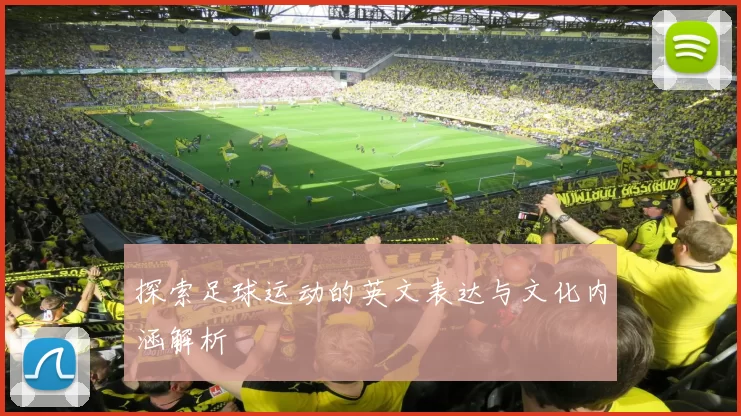 探索足球运动的英文表达与文化内涵解析