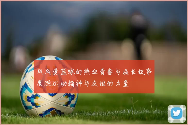风风爱篮球的热血青春与成长故事展现运动精神与友谊的力量