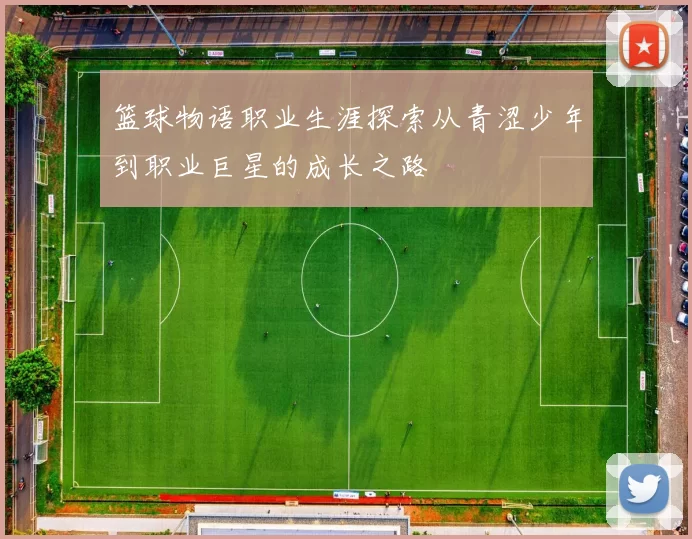 篮球物语职业生涯探索从青涩少年到职业巨星的成长之路