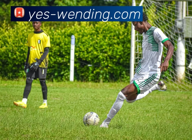 问鼎娱乐平台生态图